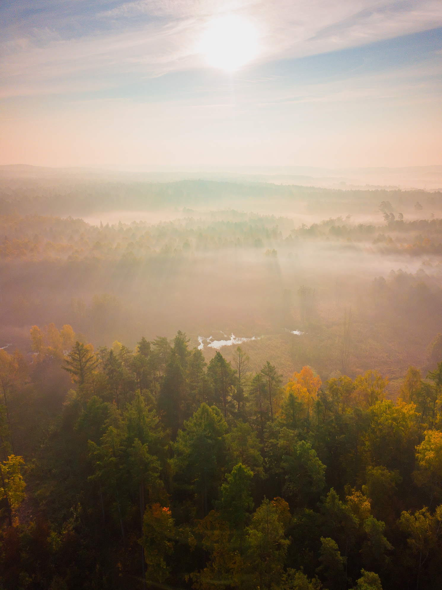 Paysage