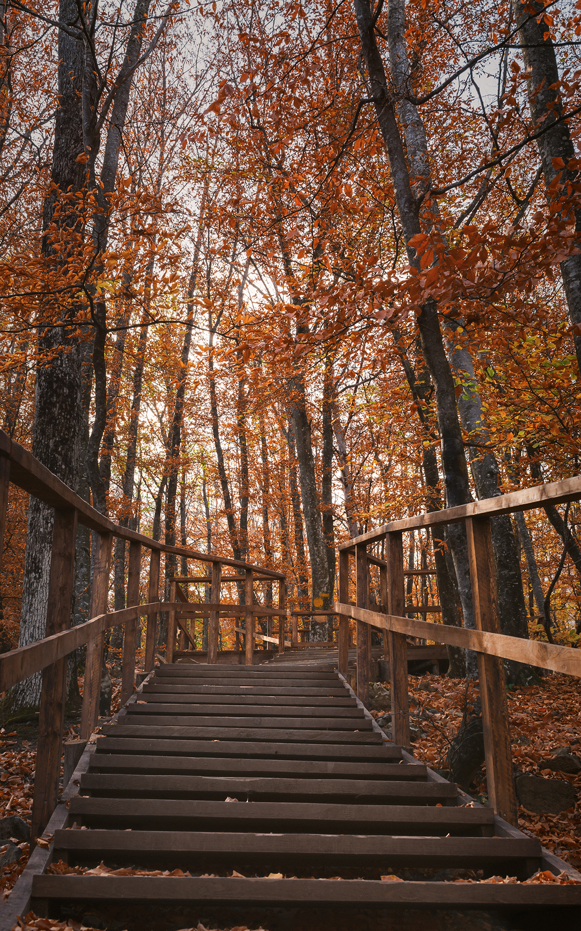 Sentier