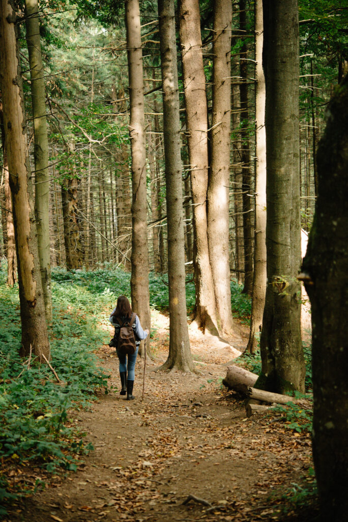 Forêt