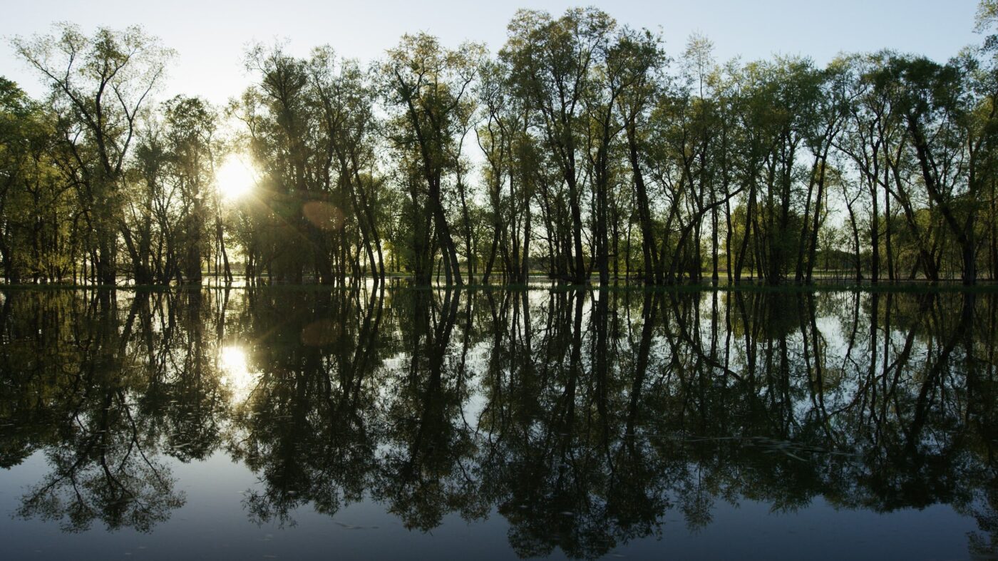Lac Saint-Pierre