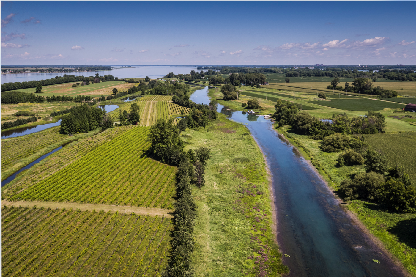 Lac Saint-Pierre